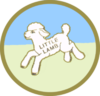 254215 little lamb logo